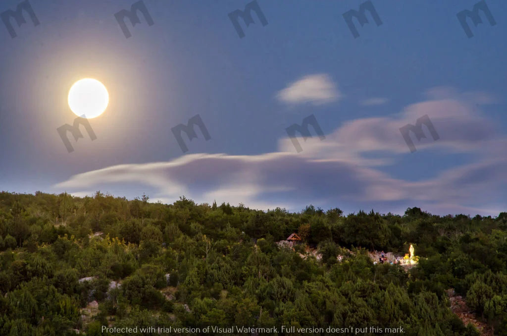 MoonLight- Stock image for download